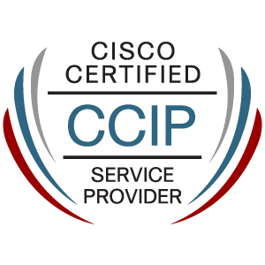 CCIP Logo